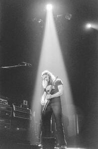 Fotografia Pink Floyd 1977