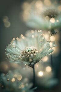 Fotografia artistica Mint Flower, Treechild, (26.7 x 40 cm)
