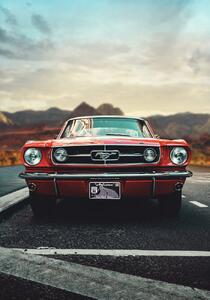 Fotografia Mustang Love, Fadil Roze, (26.7 x 40 cm)