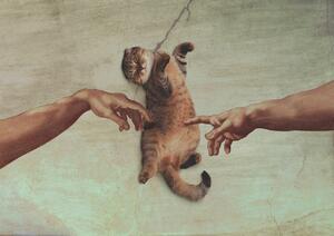 Illustrazione Touch of the Kitty, Artem Pozdniakov, (40 x 30 cm)