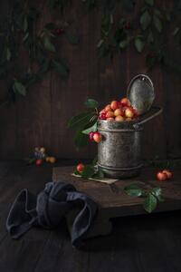 Fotografia artistica Yellow cherries, Diana Popescu, (26.7 x 40 cm)