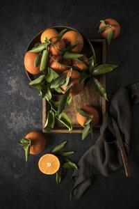 Fotografia artistica Oranges, Diana Popescu, (26.7 x 40 cm)