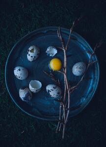 Fotografia artistica Eggs, Aleksandrova Karina, (30 x 40 cm)