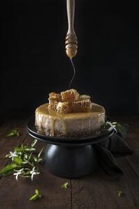 Fotografia artistica Baklava cheesecake and honey comb, Diana Popescu, (26.7 x 40 cm)