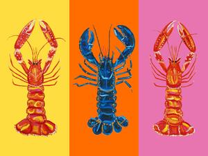 Illustrazione Lobster Langoustines Pop Art 3, Alice Straker, (40 x 30 cm)