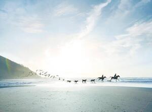 Stampa d'arte Conceptual shot of riders dogs and birds on beach, Ezra Bailey, (40 x 30 cm)