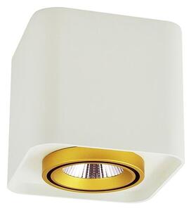 Luce Spot a LED XENO LED/15W/230V bianco 1200lm