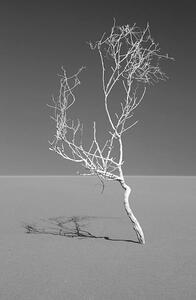 Fotografia artistica Art of nature Sossuvlei Namib desert, Mike Korostelev, (26.7 x 40 cm)