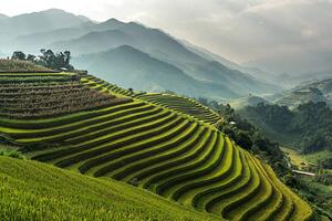 Fotografia artistica Rice fields on terraced of Mu, wiratgasem, (40 x 26.7 cm)