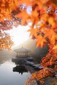 Fotografia artistica Beautiful Autumn scene of Naejangsan national, Twenty47studio, (26.7 x 40 cm)
