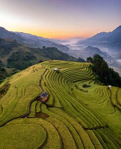 Fotografia artistica Rice fields on terraced prepare the, Vu Viet Dung, (35 x 40 cm)