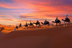 Fotografia artistica Camel caravan going through the Sahara, Nisangha, (40 x 26.7 cm)