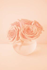 Fotografia artistica Roses in the color of 2024 year Peach Fuzz, Anna Blazhuk, (26.7 x 40 cm)
