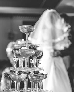 Fotografia artistica Black and white wedding photos, FernandoChee, (30 x 40 cm)