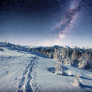 Fotografia starry sky in winter snowy night, standret, (40 x 40 cm)