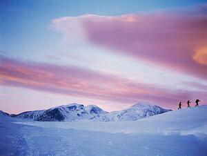 Fotografia artistica Group Snowshoeing in Snow, David Trood, (40 x 30 cm)