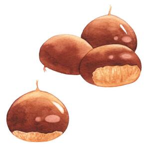 Fotografia artistica Watercolor Chestnuts, saemilee, (40 x 40 cm)