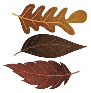 Fotografia artistica Three brown fall leaves watercolor illustration, ToBeeLife, (40 x 40 cm)
