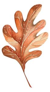 Fotografia A beautiful autumn watercolor oak leaf, Lidiia Biktimirova, (40 x 40 cm)
