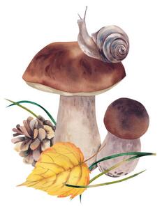 Fotografia artistica Porcini mushrooms with autumn leaves snail, Marina Skryzhova, (40 x 40 cm)