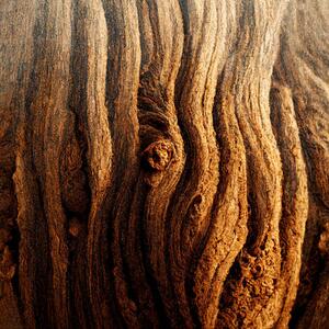 Fotografia artistica Image Of Tree Bark Texture, Nenov, (40 x 40 cm)