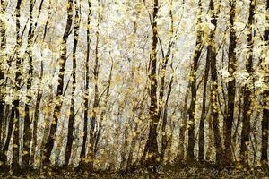 Illustrazione Forest filed with golden autumn leaves, Andrew Bret Wallis, (40 x 26.7 cm)
