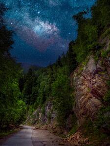 Fotografia artistica Trees by road against sky at night Romania, Daniel Ion / 500px, (30 x 40 cm)