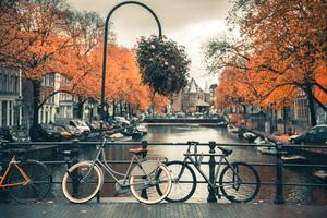 Fotografia View of canal in Amsterdam during Autumn Season, Umar Shariff Photography, (40 x 26.7 cm)