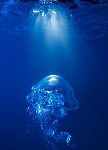Fotografia artistica Bubble on spot light in blue water, Biwa Studio, (30 x 40 cm)