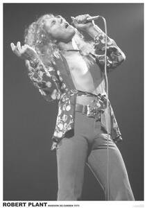 Posters, Stampe Led Zeppelin - Robert Plant March 1975 colour