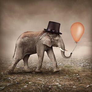 Illustrazione Elephant with a balloon, egal, (40 x 40 cm)