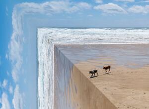 Illustrazione Perspective bending image of two dogs on a beach, ImagePatch, (40 x 30 cm)