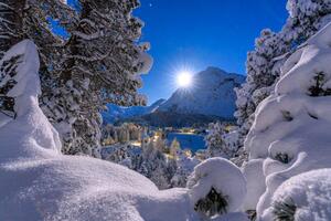 Fotografia Snowy forest lit by moon in winter Switzerland, Roberto Moiola / Sysaworld, (40 x 26.7 cm)