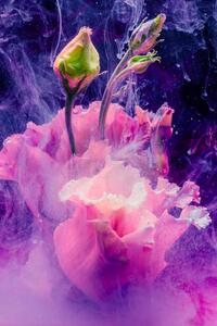 Fotografia artistica Flower in colourful water, Lorado, (26.7 x 40 cm)