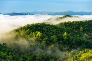 Fotografia artistica Beautiful mist over green forest on mountain, NirutiStock, (40 x 26.7 cm)