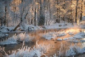 Fotografia artistica Morning by a frozen river in winter, Schon, (40 x 26.7 cm)