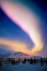 Fotografia artistica Usa Alaska Alaskan Range Aurora Borealis, Johnny Johnson, (26.7 x 40 cm)