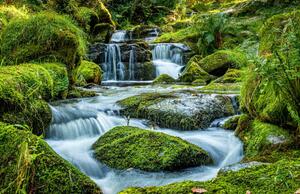 Fotografia artistica Scenic view of waterfall in forest Newton, Ian Douglas / 500px, (40 x 26.7 cm)