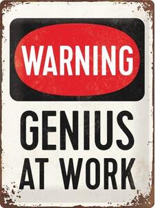 Cartello in metallo Warning - Genius at Work, (30 x 40 cm)