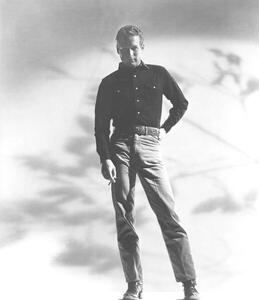 Fotografia artistica Paul Newman, (35 x 40 cm)