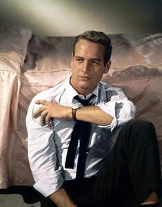 Fotografia American Actor Paul Newman C 1958