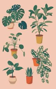 Illustrazione houseplants set, Alina Beketova, (26.7 x 40 cm)