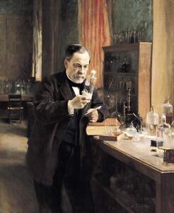 Fotografia Louis Pasteur in his Laboratory 1885, Edelfelt, Albert Gustaf Aristides