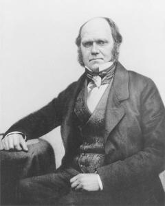 Fotografia artistica Portrait of Charles Darwin 1854, English Photographer,, (30 x 40 cm)