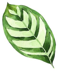 Illustrazione Watercolor hand painted green tropical leaves, DZHAMILIA ABDULAEVA