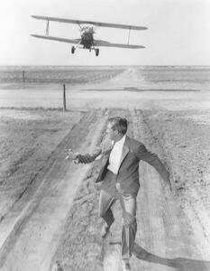 Fotografia Cary Grant, (30 x 40 cm)