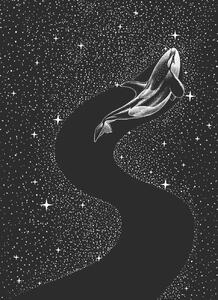 Illustrazione Starry Orca, Aliriza Cakir, (30 x 40 cm)