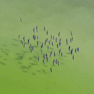 Fotografia artistica Lake Eyre Aerial Image, Ignacio Palacios, (40 x 40 cm)