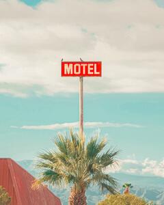 Fotografia artistica This Motel is for the Birds, Tom Windeknecht, (30 x 40 cm)