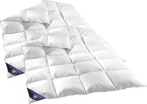 2 pezzi (set) Piumino invernale 135x200 cm | 60% piumino, peso di riempimento: 1600 grammi | 100% cotone | Piumino